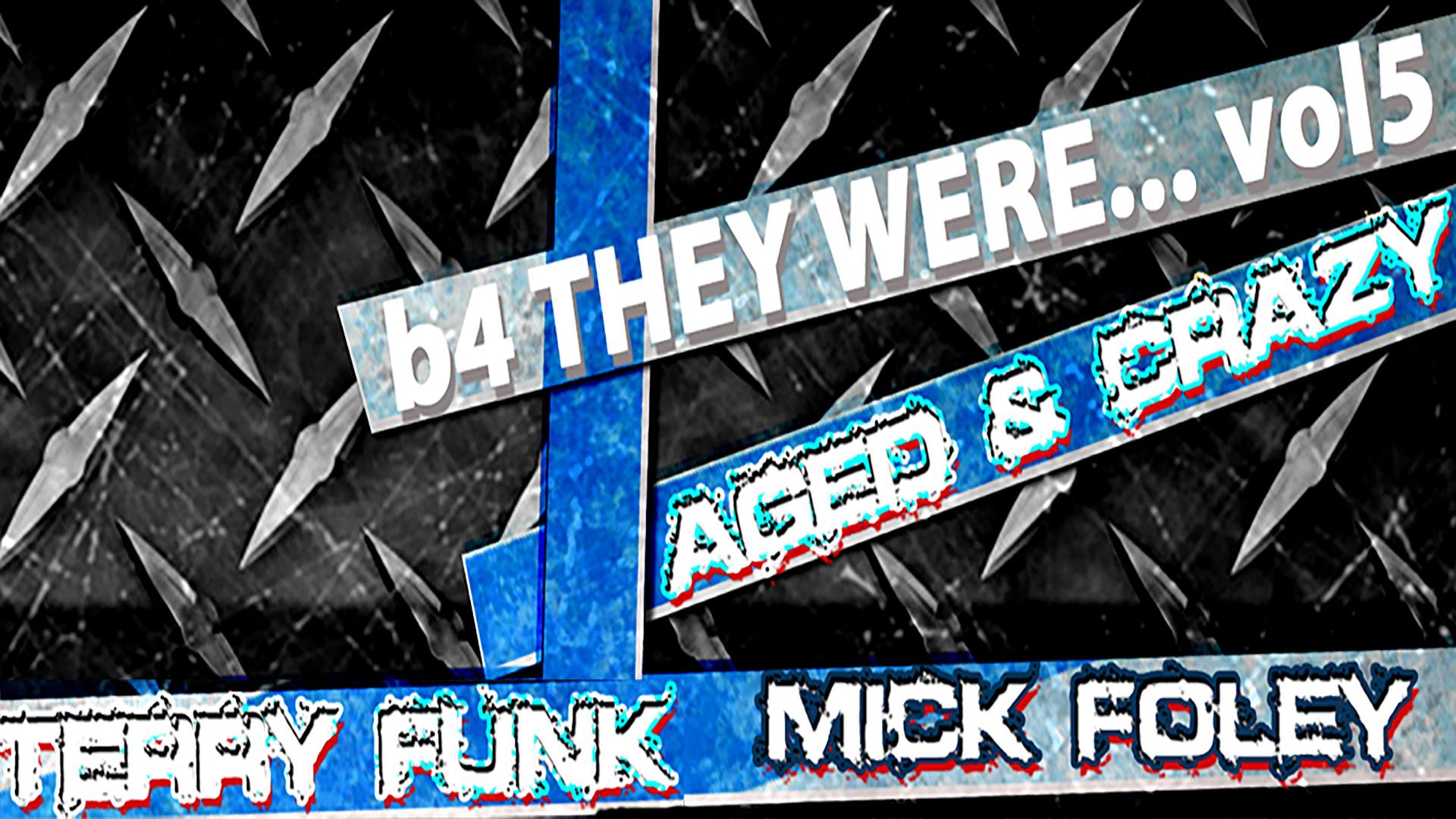 B4 They Were... Vol 5: Aged & Crazed Foley & Funk (2014)