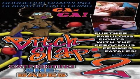 Bitchslap: Catfighting She-Babes Volume 2 (2008)